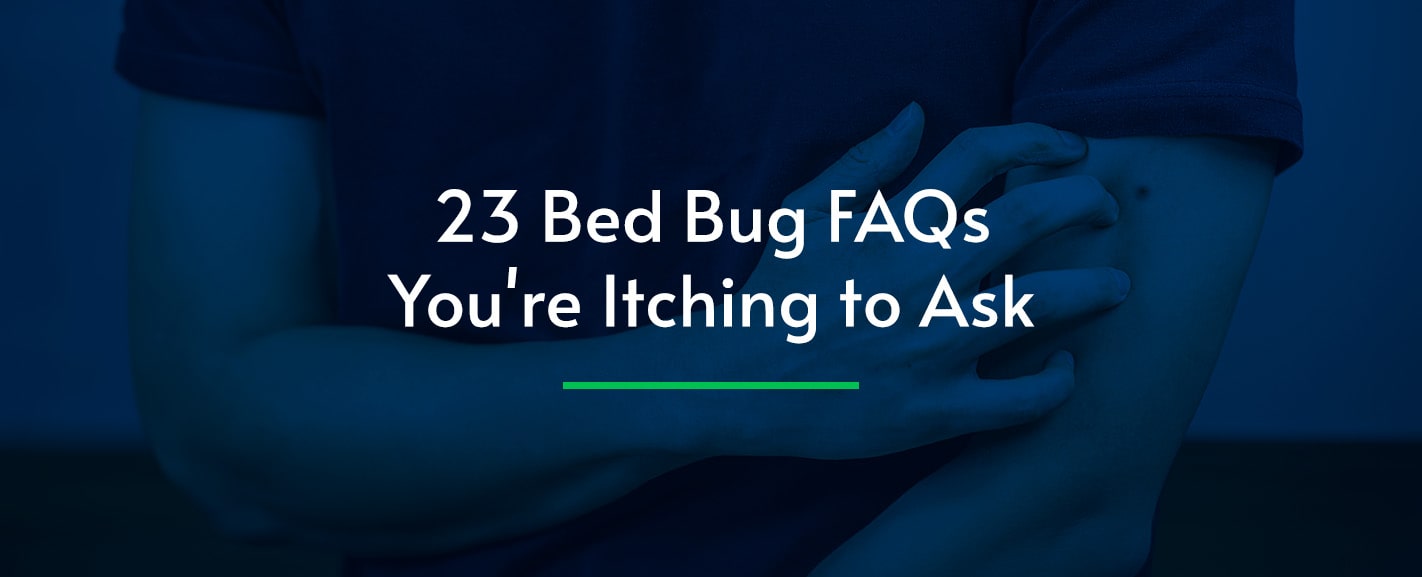 23 Bed Bug FAQs You're Itching to Ask