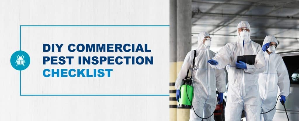 Commercial Pest Inspection