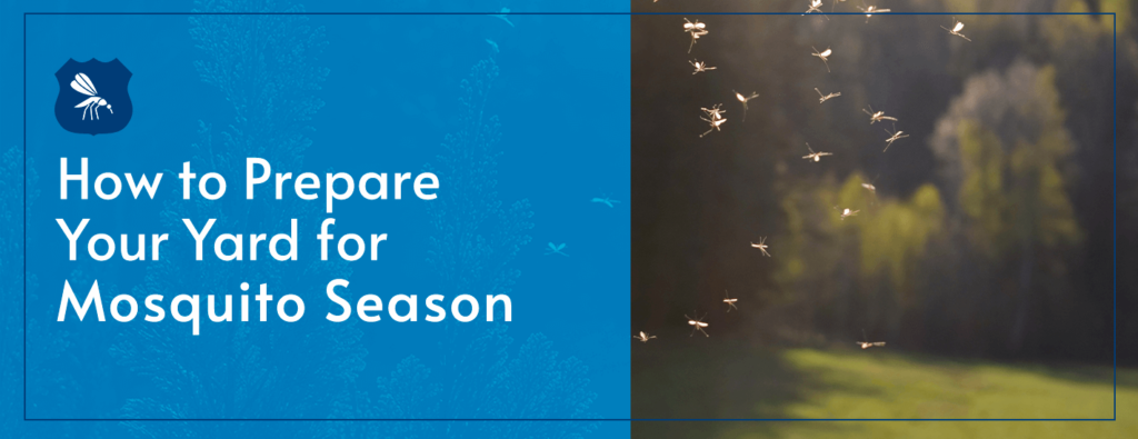 How to Prepare Yard Mosquitoes