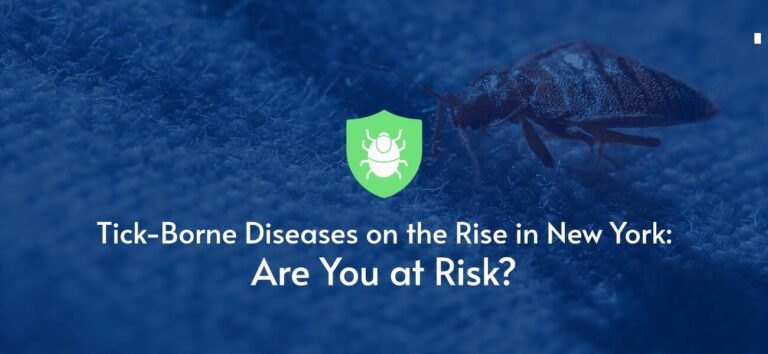 Tick-Borne Diseases on the Rise in New York: Are You at Risk? - Pestech ...