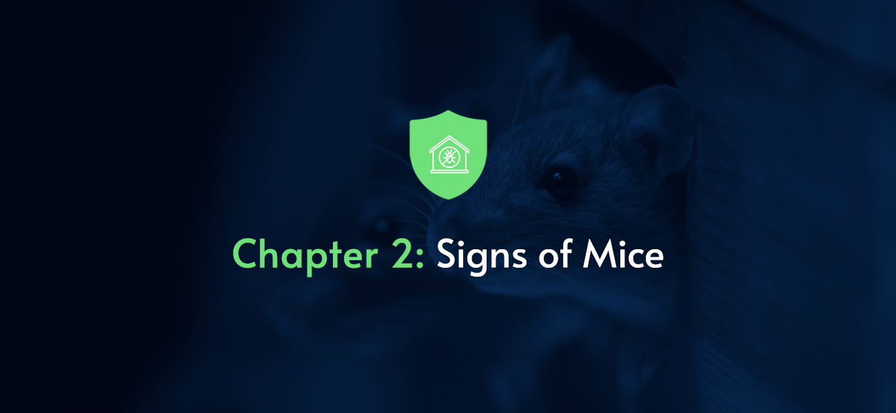 https://pestech.com/wp-content/uploads/01-chapter-2-signs-of-mice.jpg