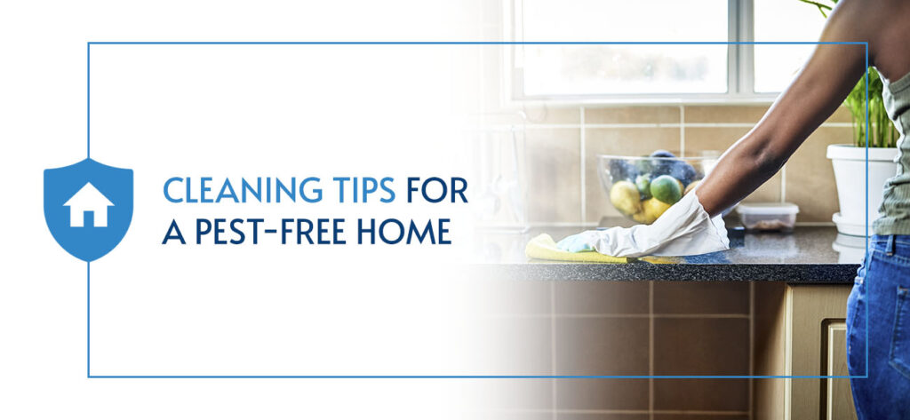 Cleaning Tips for a Pest-Free Home