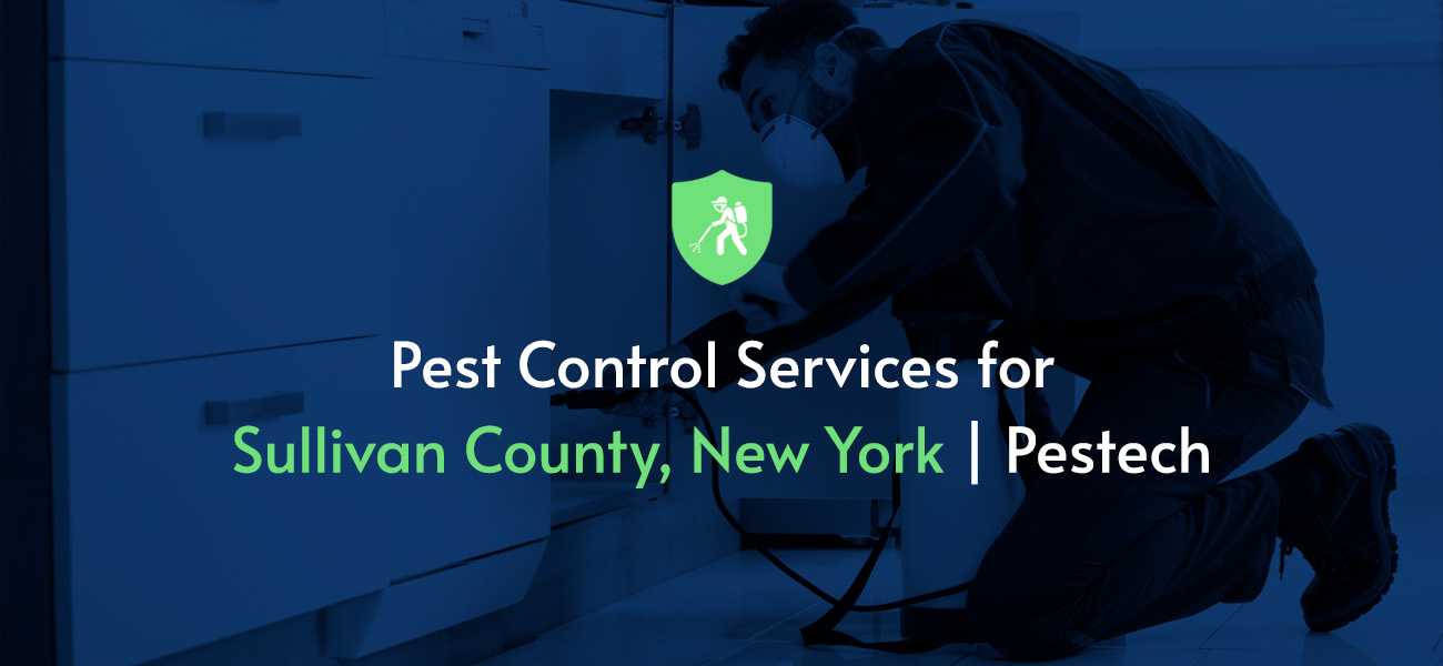 Pest Control Cutler Bay