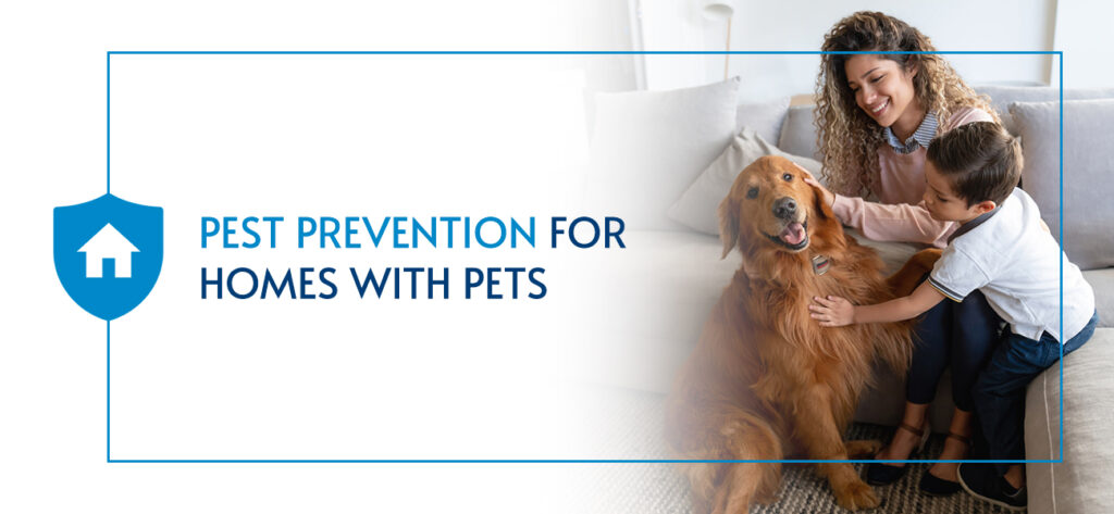 Pest Prevention for Homes with Pets