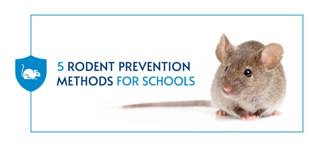 Rodent Prevention Methods