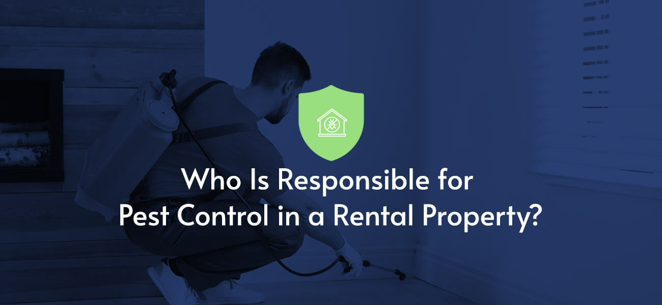 Who Pays for Pest Control in a Rental Property Pestech