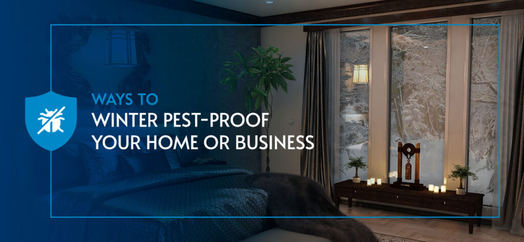 Winter Pest-Proof Your Home Or Business