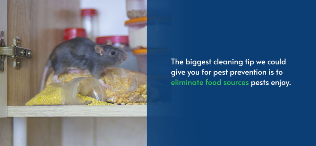 Biggest Cleaning Tip: Eliminate food sources