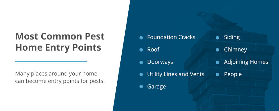 Common Home Entry Points for Pests