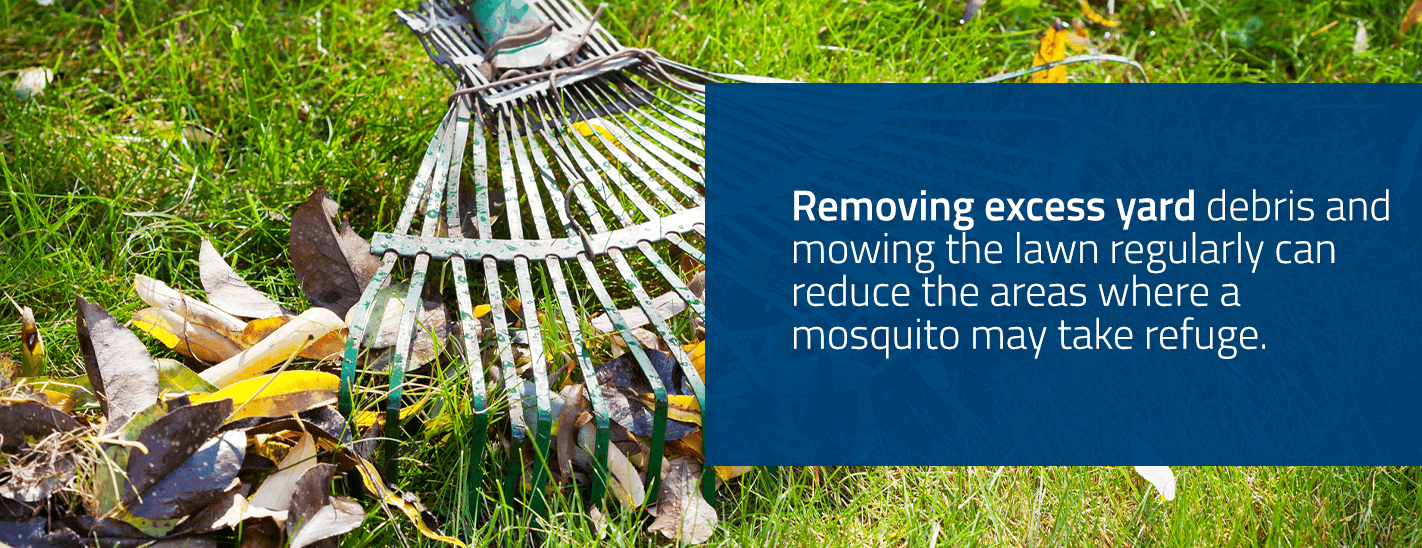 Remove Yard Debris to Prevent Moquitoes