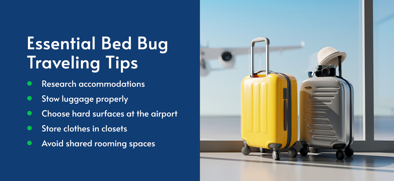 Essential Bed Bug Traveling Tips