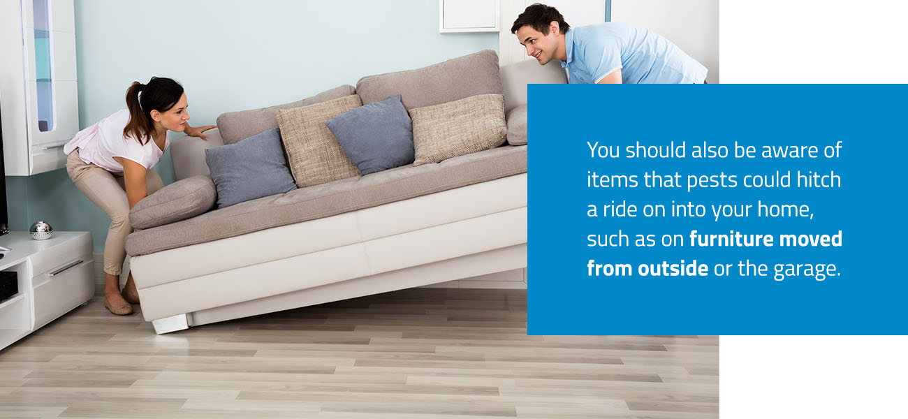 Prevent Cockroaches in Your Home Cockroach Prevention Tips