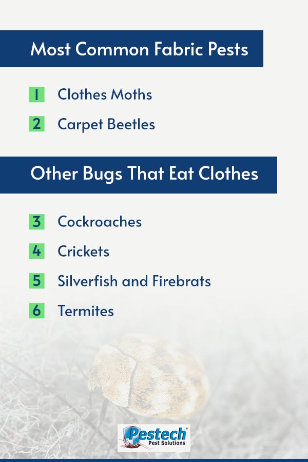 Most common fabric bugs