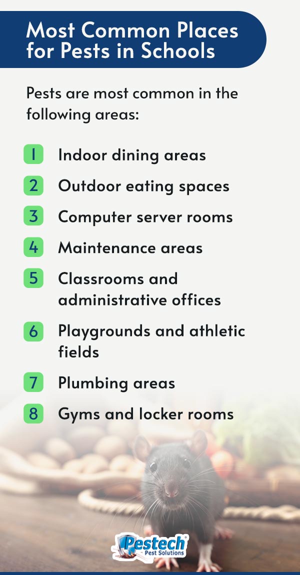 Most Common Places for Pests in Schools