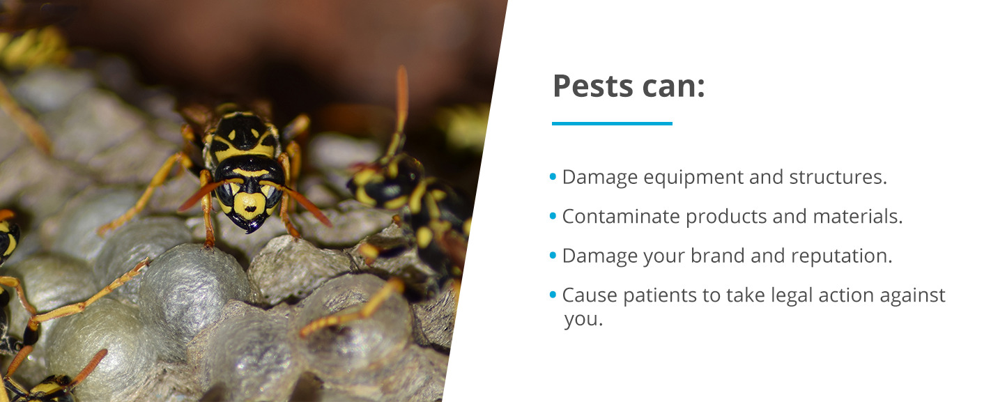 Pests can cause damage to hospitals