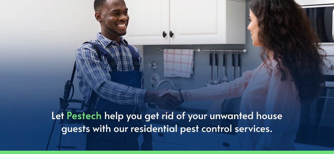 Pest Control Services for Sullivan County, NY | Pestech