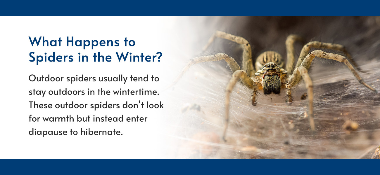 What Happens to Pests in the Winter Months? Pestech