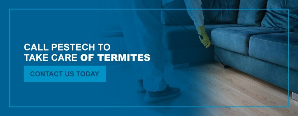 Call Pestech to Take Care of Termites