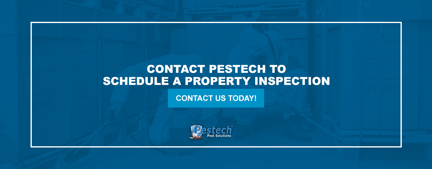 Contact Pestech