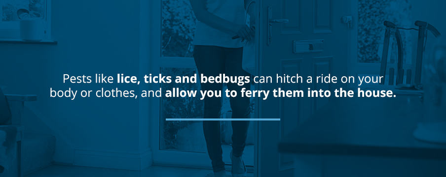 Pests Attach to People