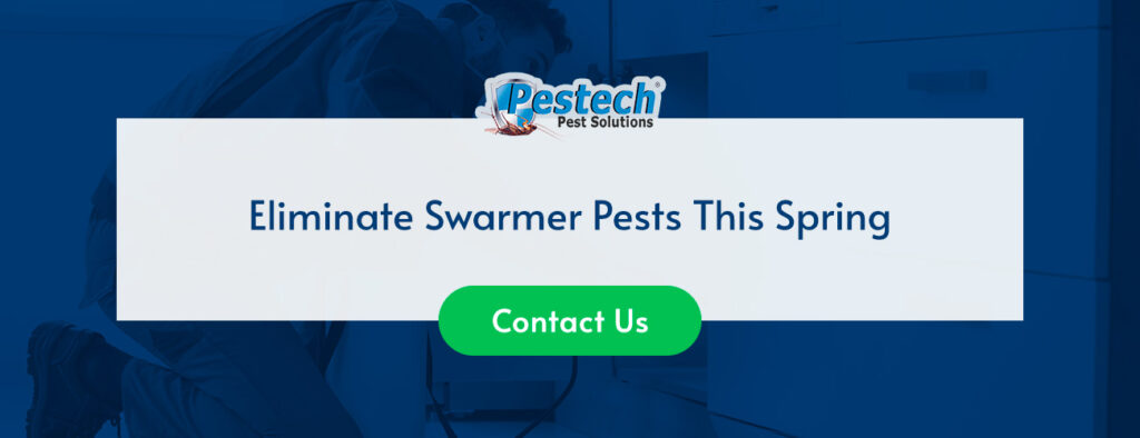 Eliminate Swarmer Pests With Pestech This Spring