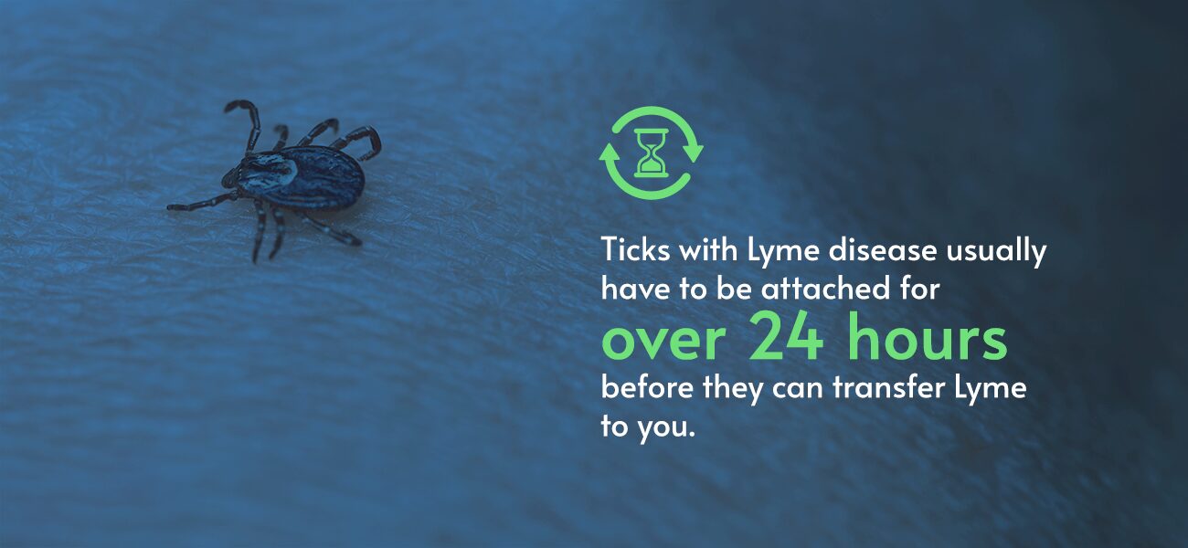 Tick Removal Methods