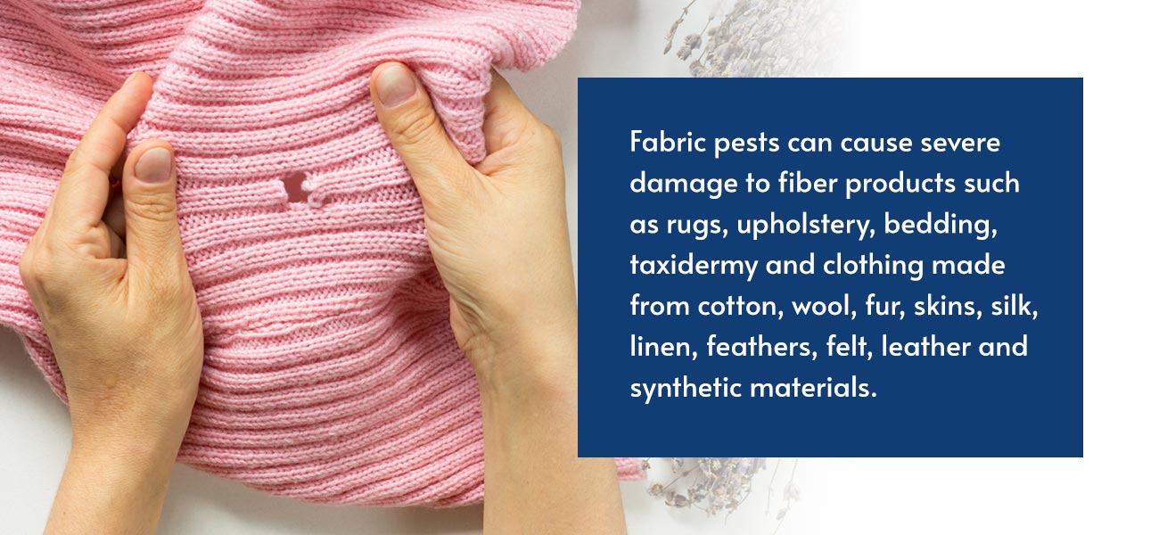 fabric pests can cause severe damage