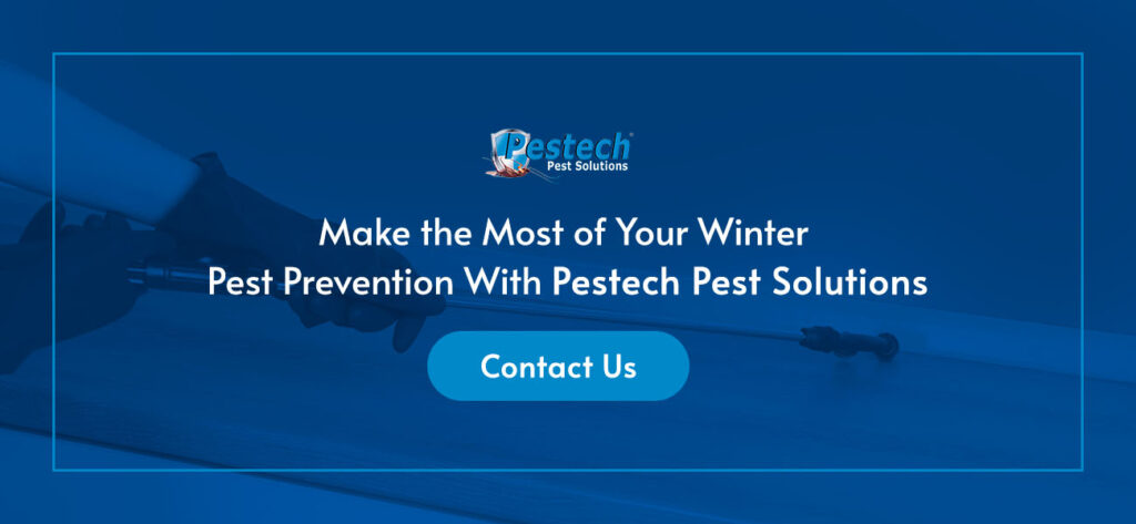 Winter Pest Prevention? Contact Us