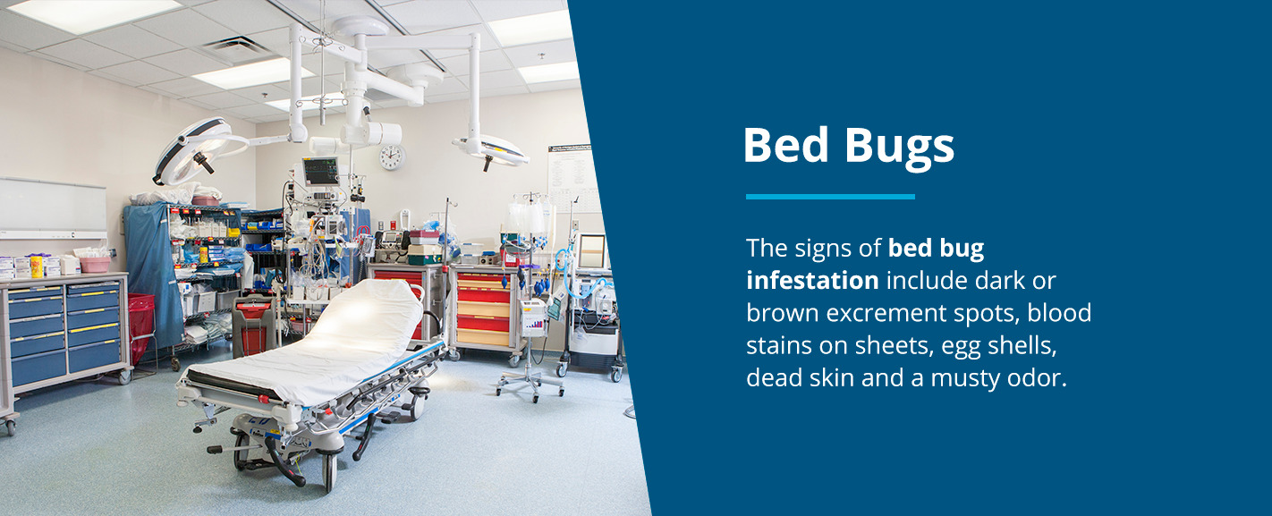 Bed Bugs in Hospitals