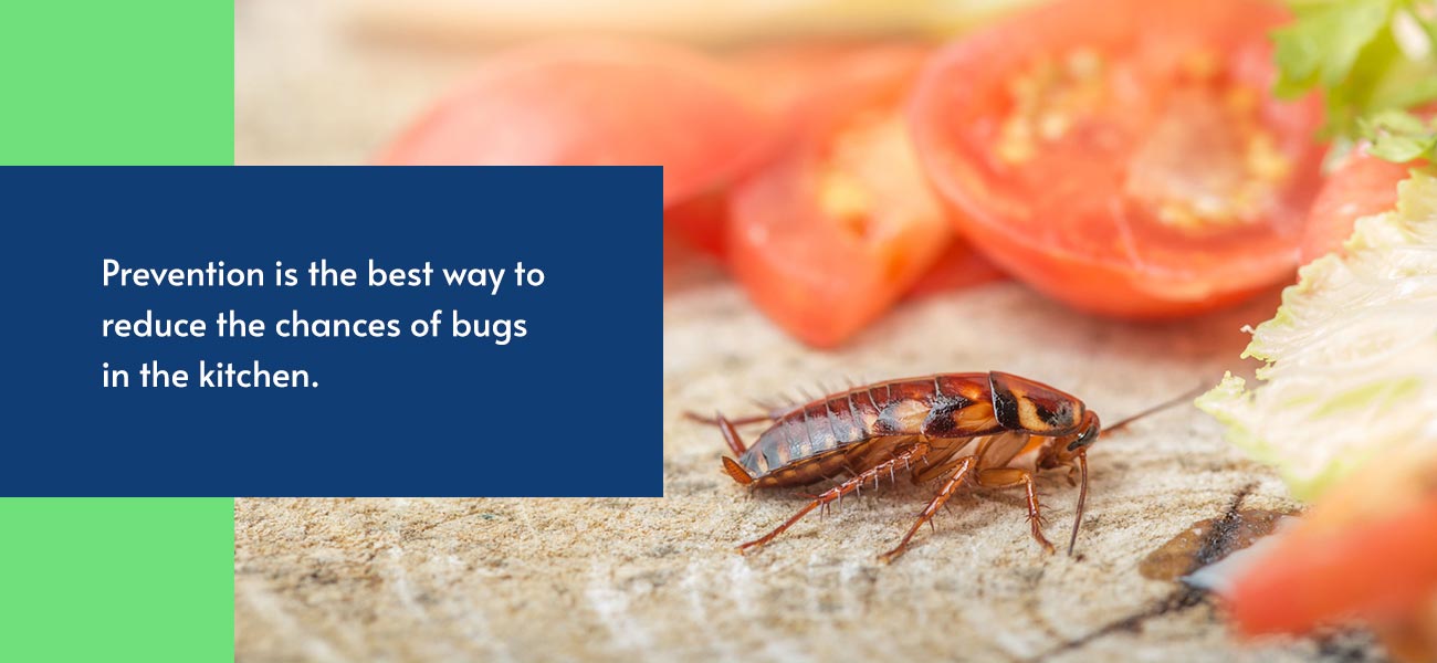 How to Prevent Kitchen Pests in Your Restaurant