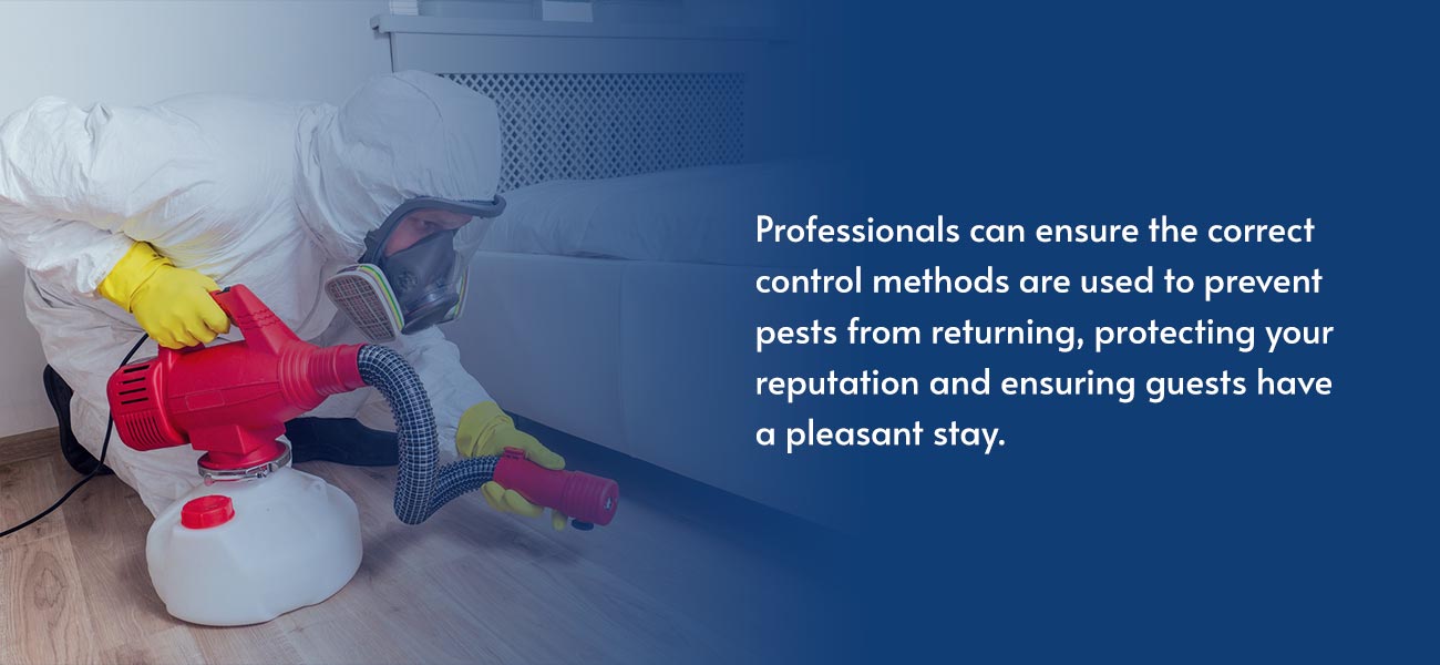 How to Protect Your Hotel From Pests