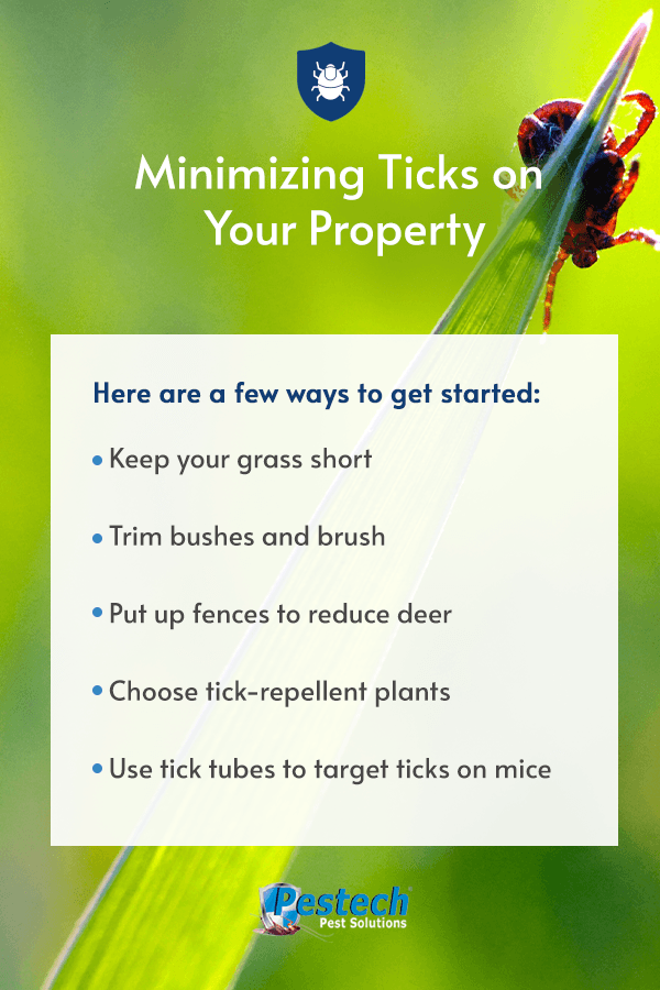 Minimizing Ticks on Your Property