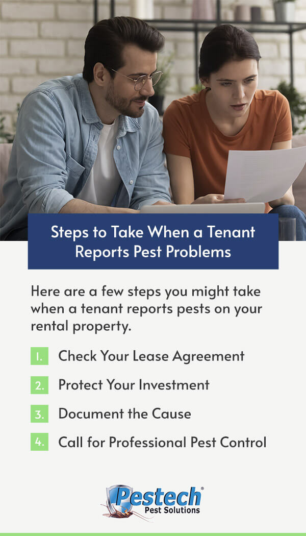 Steps to take when a tenant reports pest problems