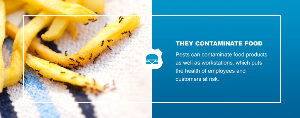 Pests Contaminate Food Products