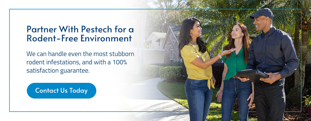 Partner With Pestech for a Rodent-Free Environment