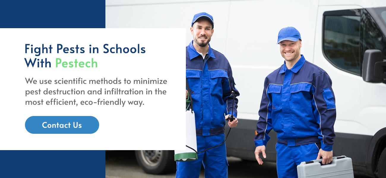 Fight Pests in Schools with Pestech