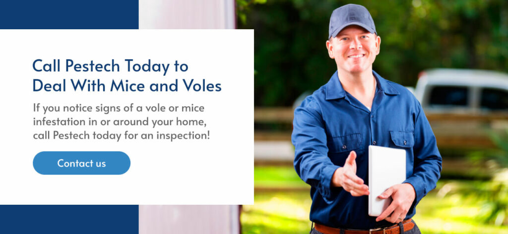 Call Pestech Today to Deal With Mice and Voles