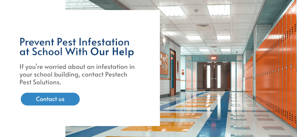 prevent school pest infestations with Pestech