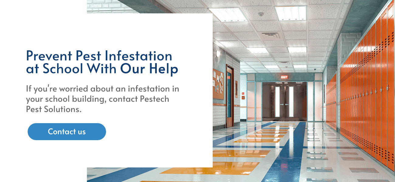 School Insect Control Most Common School Pest Infestations - Pestech - Pest Control and ...