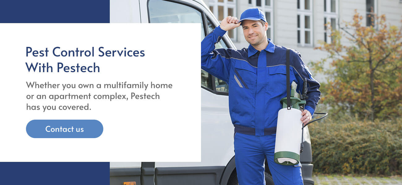 Pest Control Services with Pestech