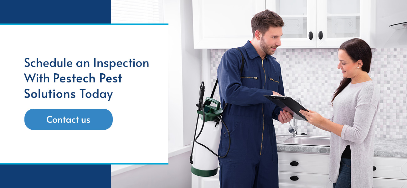 Schedule an Inspection With Pestech Pest Solutions Today