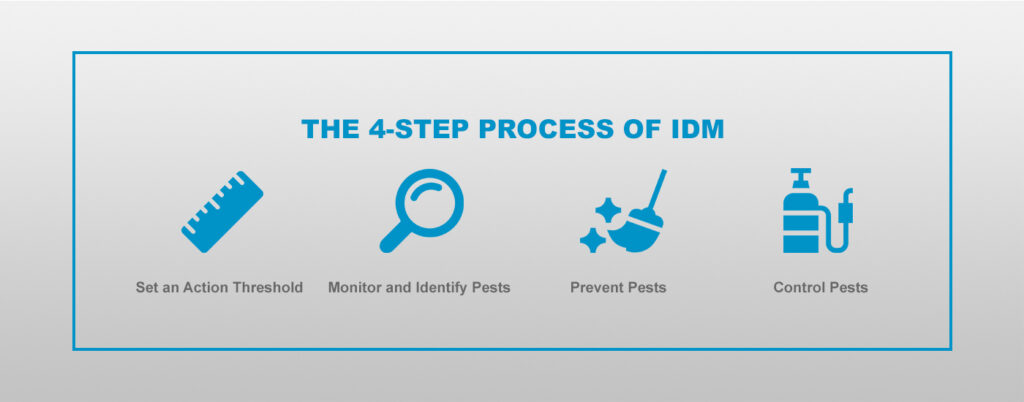 4-Step Process of IPM