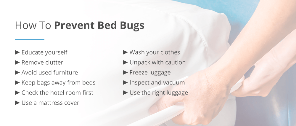 How to Prevent Bed Bugs With 3 Items From Experts