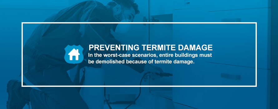 Preventing Termite Damage