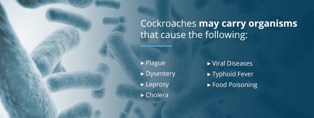 Diseases Carried by Cockroaches