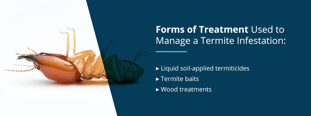 How to Treat for Termites