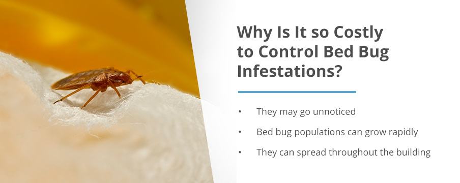 Why Is It so Costly to Control Bed Bug Infestations?