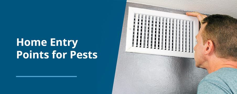 Home Pest Entry Points