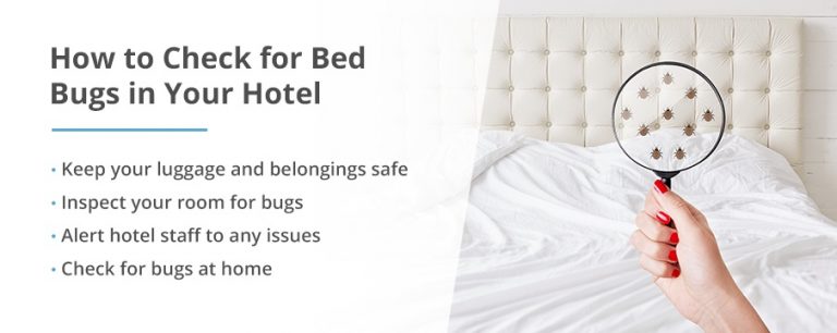 Bed Bugs In Hotels: Everything You Need To Know | Pestech