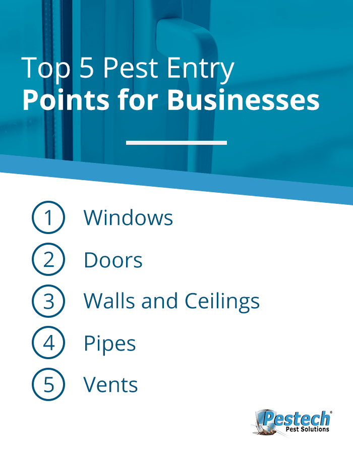 Top Entry Points for Pests in Businesses